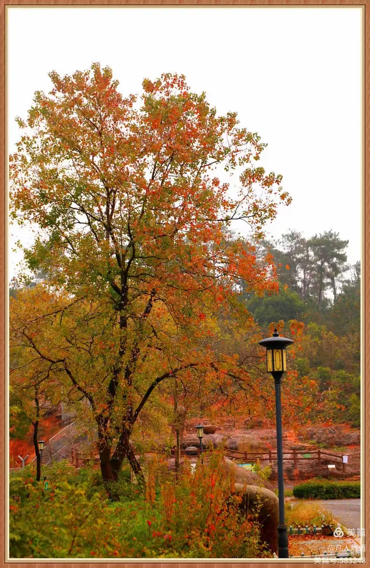 晶阳山庄:又见秋意,景色宜人